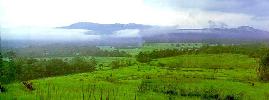 วันอนุรักษ์ทรัพยากรป่าไม้แห่งชาติ 14 มกราคม