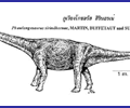 ภูเวียงโกซอรัส สิรินธรเน่ (Phuwiangosaurus sirindhornae)