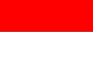  https://pixabay.com/en/flag-indonesia-country-nationality-155928/