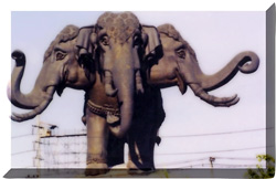 ภาพ ช้างเอราวัณจาก http://www.businesscenterbkk.com/arawan.jpg